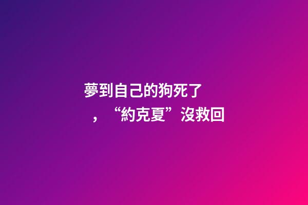 夢到自己的狗死了，“約克夏”沒救回